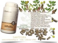 Alfalfa 100 kaps liucerna, Santegra JAV - PIGIAU