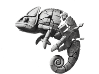 Chameleonas.lt | Renginių organizavimo įmonė
