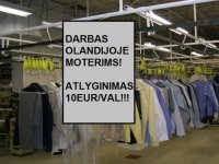 DARBAS OLANDIJOJE MOTERIMS