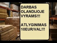 DARBAS OLANDIJOJE VYRAMS