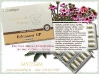 Echinacea GP 30 kaps ežiuolė IMUNITETUI stiprinti, Santegra JAV