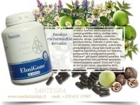 ElmiGone™ 120 kaps Juodasis riešutas, Santegra JAV - PIGIAU