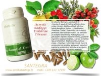 Essential C-curity 60 tabl vitaminas C, Santegra USA - AKCIJA