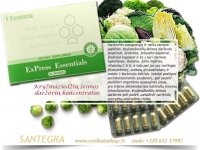 ExPress Essentials 30 kaps kryžmažiedžių daržovių mišinys - Santegra USA