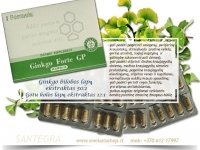 Ginkgo Forte GP 60 kaps ginkmedžio lapų ekstraktas 50 : 1 - Santegra USA