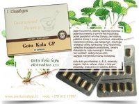 Gotu Kola GP 30 atminties žole Santegra USA - AKCIJA