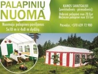 Palapinių nuoma