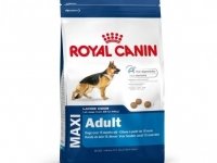 Royal Canin maistas