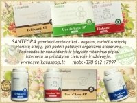 SANTEGRA gamtiniai antibiotikai – vitaminai ORGANIZMO APSAUGINEI JĖGAI